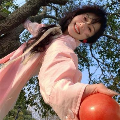 一条安达鲁狗