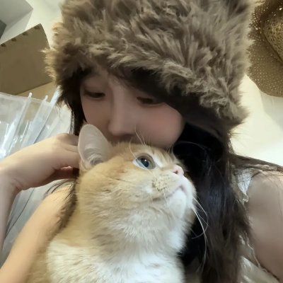 戴帽子的猫