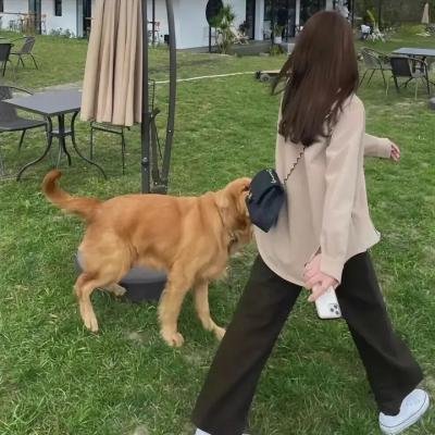 拓荒者的足迹